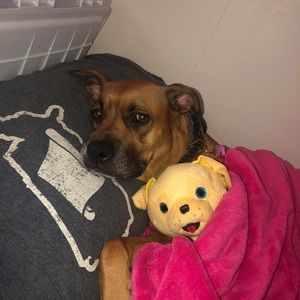 Meet your Posher, Lilly